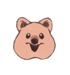 ワラビーくん（個別スタンプ：33）