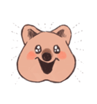 ワラビーくん（個別スタンプ：36）