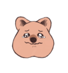 ワラビーくん（個別スタンプ：37）