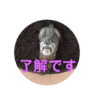 るなとるなのラインスタンプ（個別スタンプ：3）