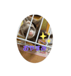 るなとるなのラインスタンプ（個別スタンプ：7）