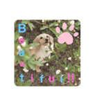 ミルクちゃんだよ！（個別スタンプ：8）