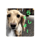 ミルクちゃんだよ！（個別スタンプ：12）