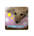 ミルクちゃんだよ！（個別スタンプ：16）