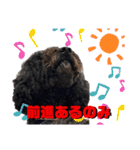 タルボンと頑張ろう（個別スタンプ：2）