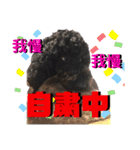 タルボンと頑張ろう（個別スタンプ：3）