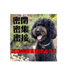 タルボンと頑張ろう（個別スタンプ：12）