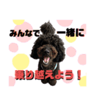 タルボンと頑張ろう（個別スタンプ：13）