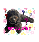 タルボンと頑張ろう（個別スタンプ：14）