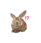 きいきいと時々ラッキー（個別スタンプ：13）