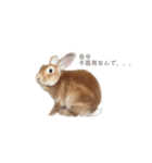 きいきいと時々ラッキー（個別スタンプ：16）