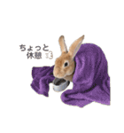 きいきいと時々ラッキー（個別スタンプ：31）