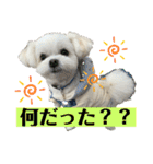 我が家のアイドル犬 ちょこスタンプ二弾（個別スタンプ：6）