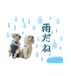 我が家のアイドル犬 ちょこスタンプ二弾（個別スタンプ：14）