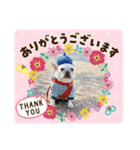 フレブルきなこスタンプ第二弾（個別スタンプ：1）