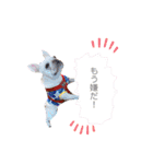 フレブルきなこスタンプ第二弾（個別スタンプ：5）