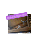 ねこの心（個別スタンプ：4）