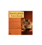 ねこの心（個別スタンプ：11）