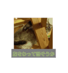 ねこの心（個別スタンプ：14）