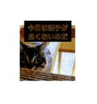 ねこの心（個別スタンプ：15）