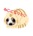パピヨンと楽しい仲間たち（個別スタンプ：13）