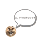 パピヨンと楽しい仲間たち（個別スタンプ：19）