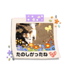 パピヨンと楽しい仲間たち（個別スタンプ：20）