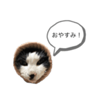 牛猫ののんたんのスタンプ！！（個別スタンプ：2）