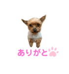らんとさくら（個別スタンプ：3）