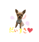 らんとさくら（個別スタンプ：7）