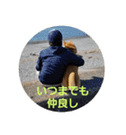 柴犬ちくわのスタンプ（個別スタンプ：40）