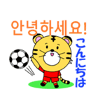 韓国のサッカータイガー（個別スタンプ：1）