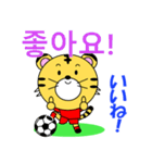 韓国のサッカータイガー（個別スタンプ：14）