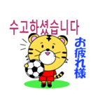 韓国のサッカータイガー（個別スタンプ：19）