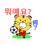 韓国のサッカータイガー（個別スタンプ：29）