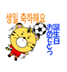 韓国のサッカータイガー（個別スタンプ：40）