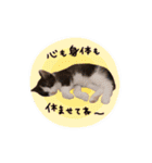 サイサイベイビーズ（個別スタンプ：12）