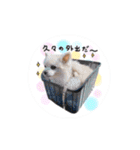 サイサイベイビーズ（個別スタンプ：26）