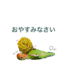 マイロの毎日（個別スタンプ：1）