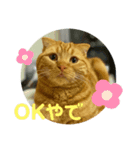 ひょっとこれおんスタンプ2（個別スタンプ：4）