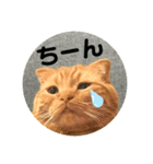 ひょっとこれおんスタンプ2（個別スタンプ：6）