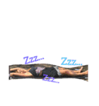 ゆるーいみや1（個別スタンプ：6）