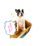 フレブルいろは（個別スタンプ：2）