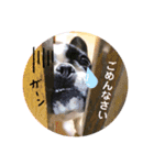 フレブルいろは（個別スタンプ：3）