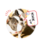 フレブルいろは（個別スタンプ：6）