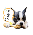 フレブルいろは（個別スタンプ：8）