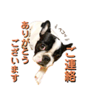 フレブルいろは（個別スタンプ：14）