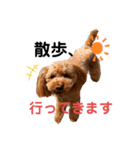 レイアの言葉（個別スタンプ：3）