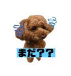 レイアの言葉（個別スタンプ：5）