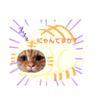ぼっけぇぇ〜（個別スタンプ：12）